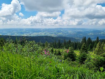 Landesgartenschau in Freyung ist eröffnet